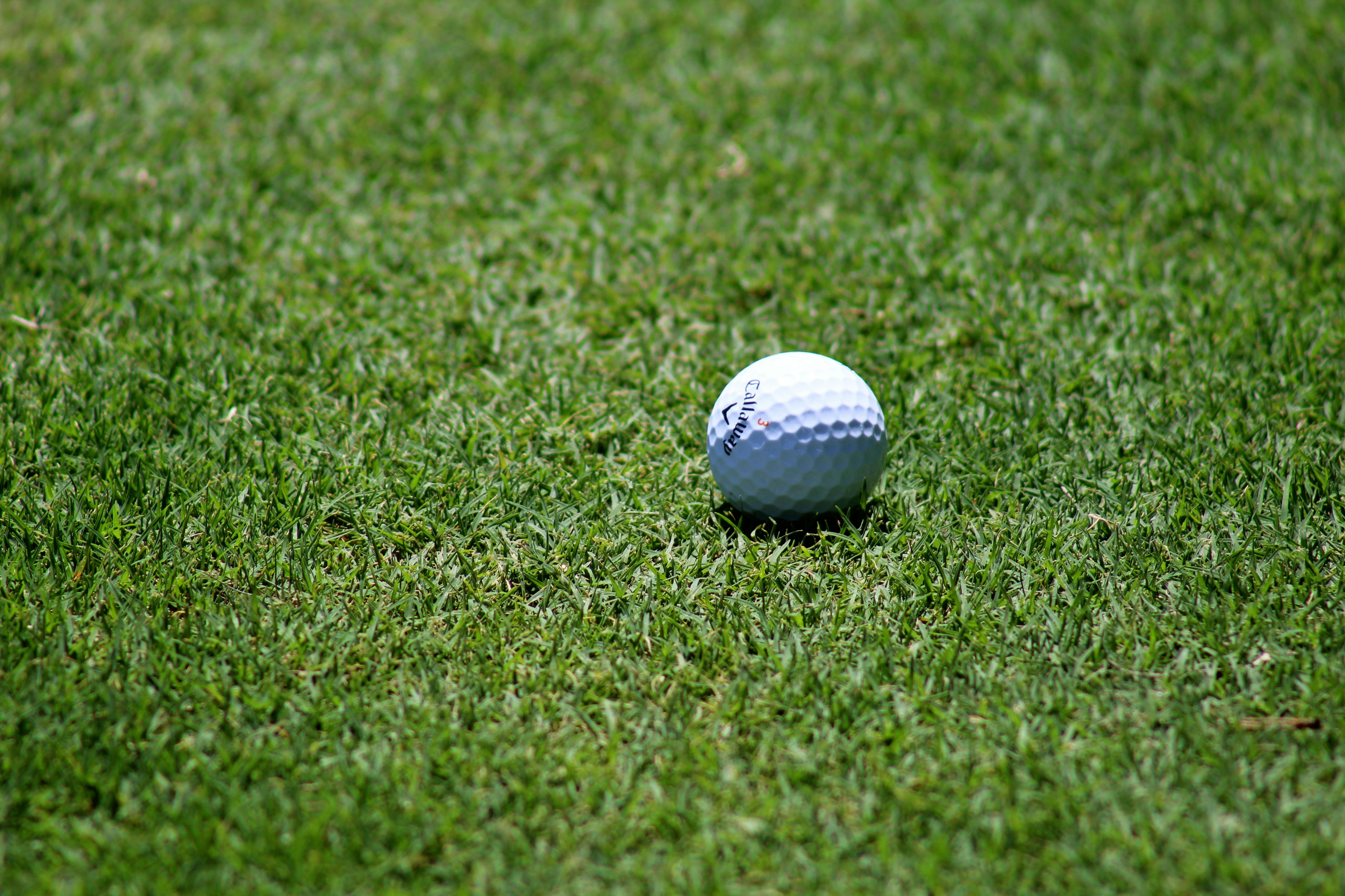 Image of golf ball on tee on grass.