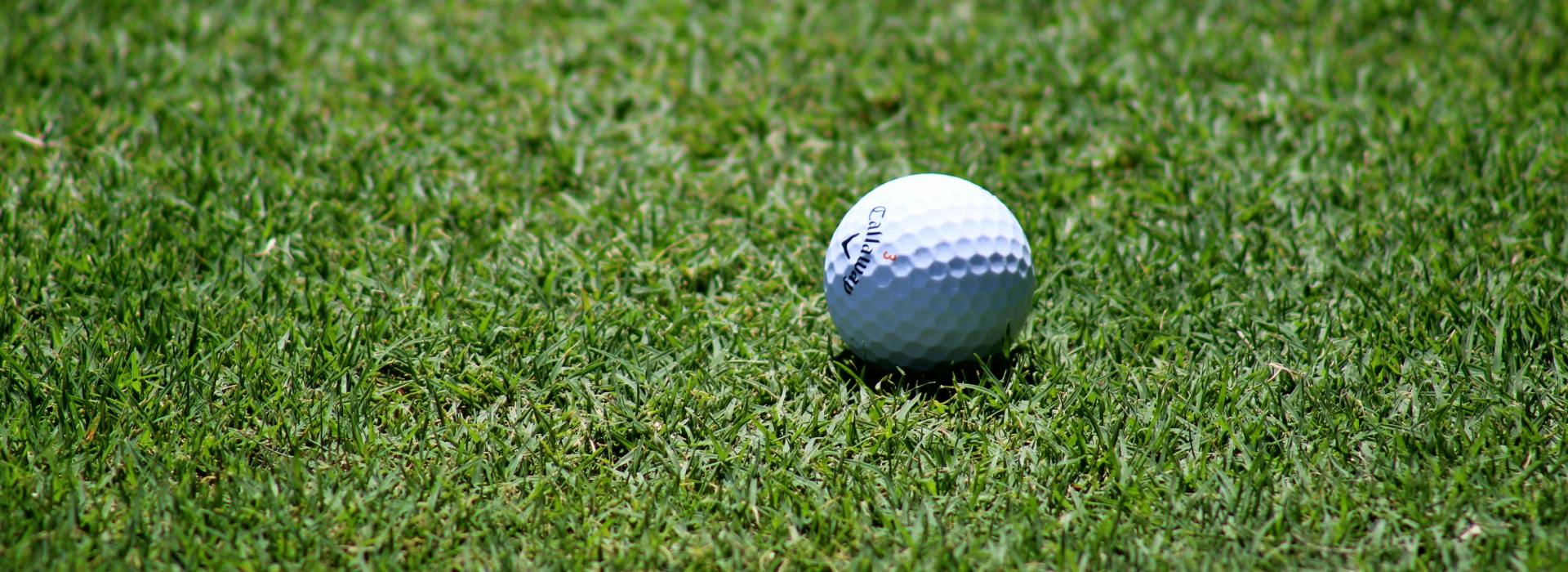 Golf ball on green